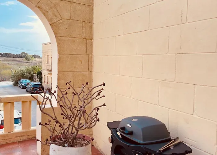 Mystic Flowers * Għarb